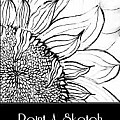 PAINT A SKETCH - Color In Custom Crafts